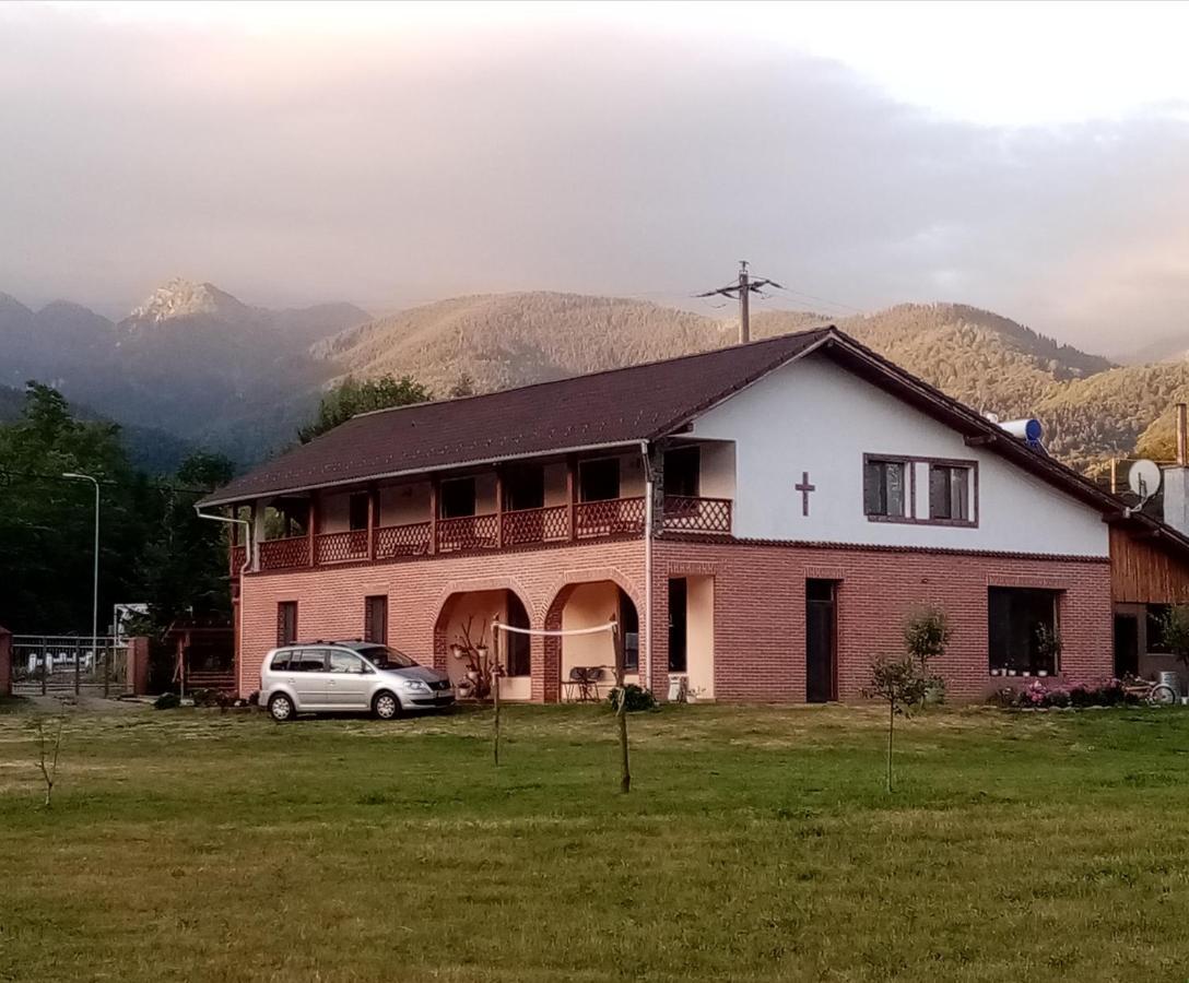 Pensiunea Dates Cartisoara Exterior photo